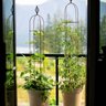 Agriframes