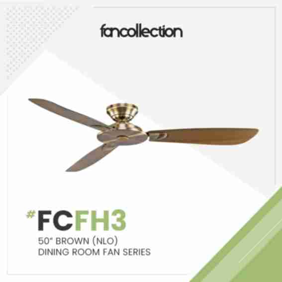 Fan Collection Reviews