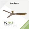 Fan Collection