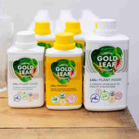 Liquid Gold Leaf Reviews