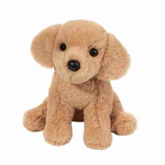 Goldie Golden Retriever