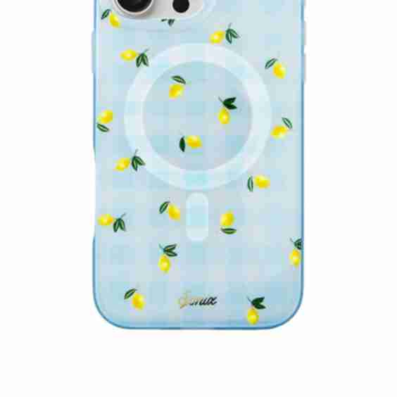 Iphone 16 Pro Max Case