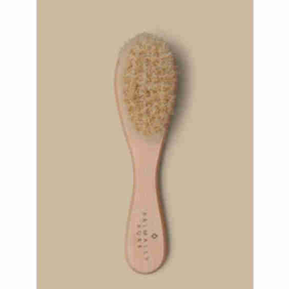 Facial Dry Brush