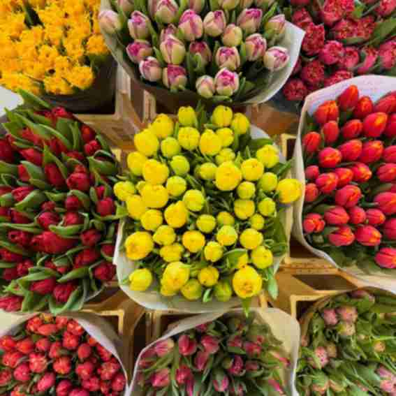 Make Every Day Bloom Reviews
