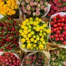 Make Every Day Bloom