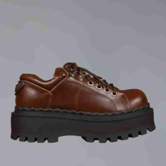 Seek Shoe