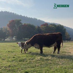 NEOGEN