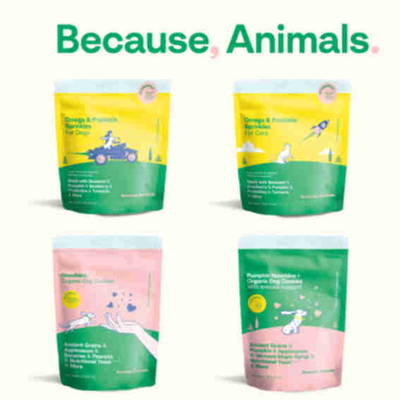 Because, Animals Reviews