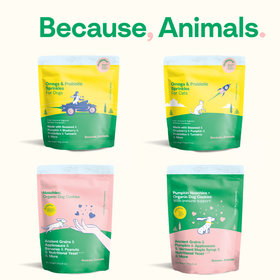 Because, Animals