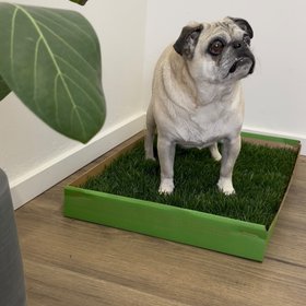 DoggieLawn
