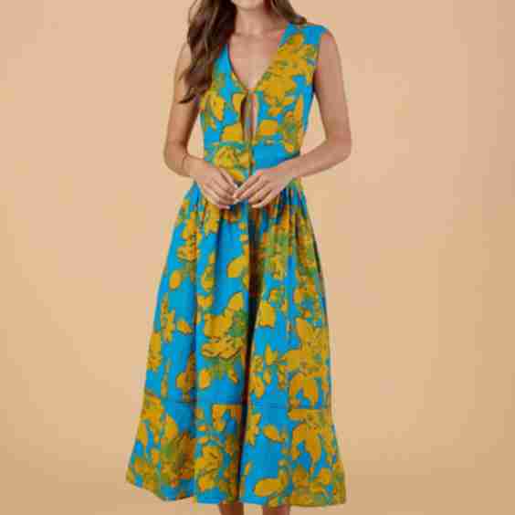 Asha Dress 