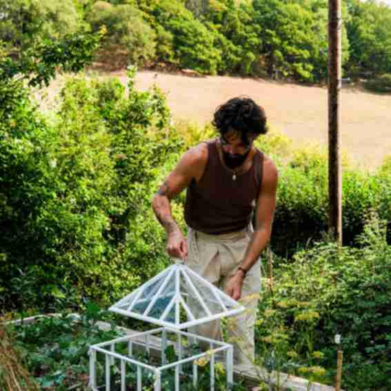 Claverton Cloches Reviews
