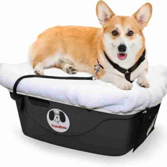 Paws Aboard Reviews
