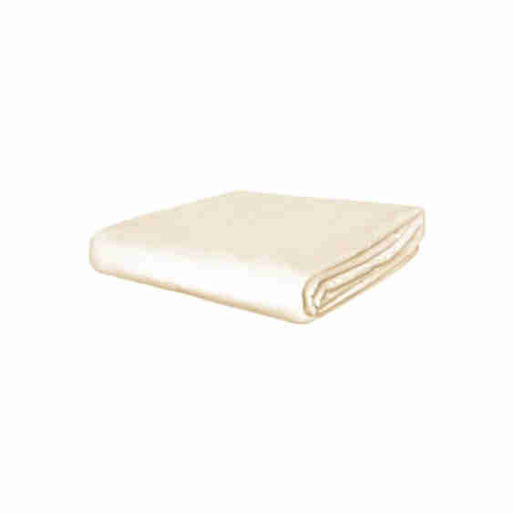 Body Guard Mattress Cover