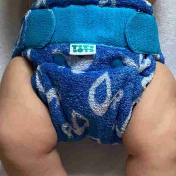 The Nappy Lady Reviews