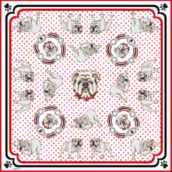 School Spirit Bull Dog Silk Scarf