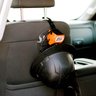 Hard Hat Caddy