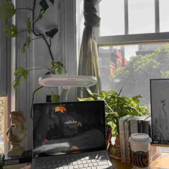 Verilux Reviews