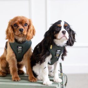 Happy Tails Harness Co.