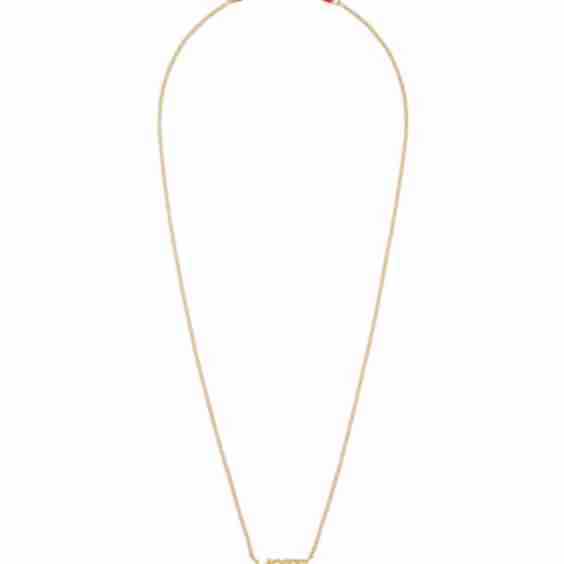 The Vote Necklace