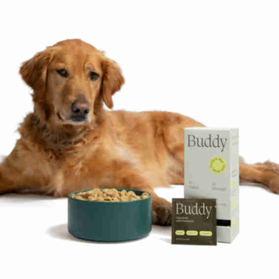 Buddy Reviews