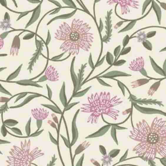 Aster Wallpaper
