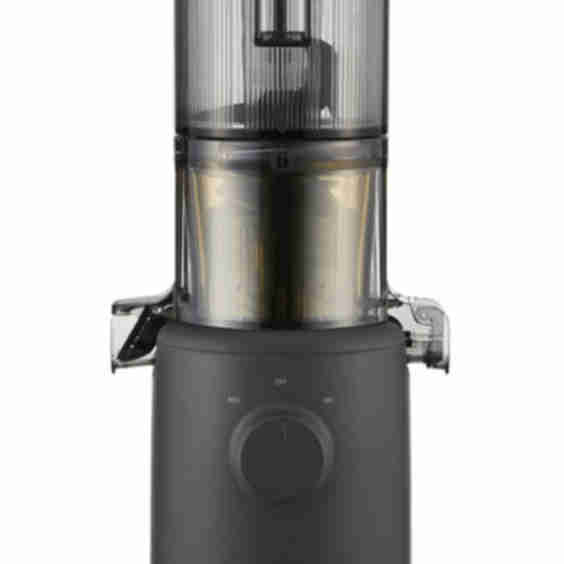 H310 Easy Clean Slow Juicer