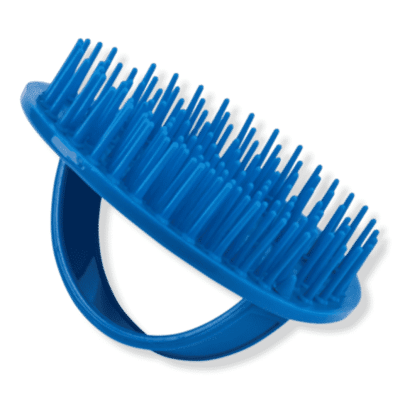 D6 Blue Bebop Shower Brush