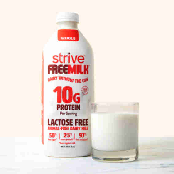 Strive Nutrition Reviews