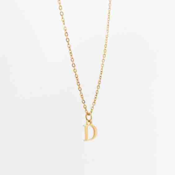Perfectly Dainty Initial Necklace