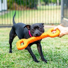 Happy Staffy Co.