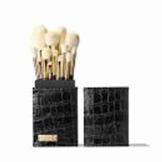 The Full Expression Brush Set