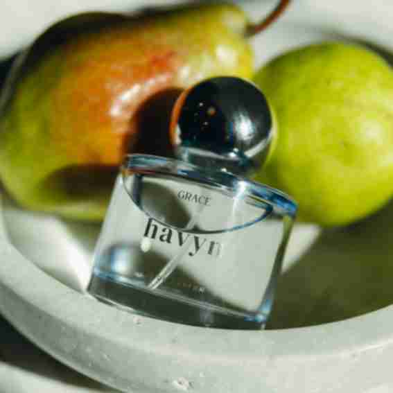 Havyn Co. Reviews