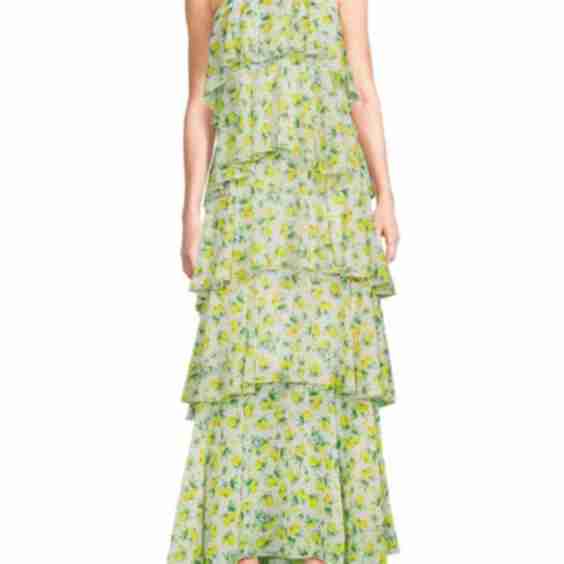 Felicia Printed Ruffle Maxi Dress