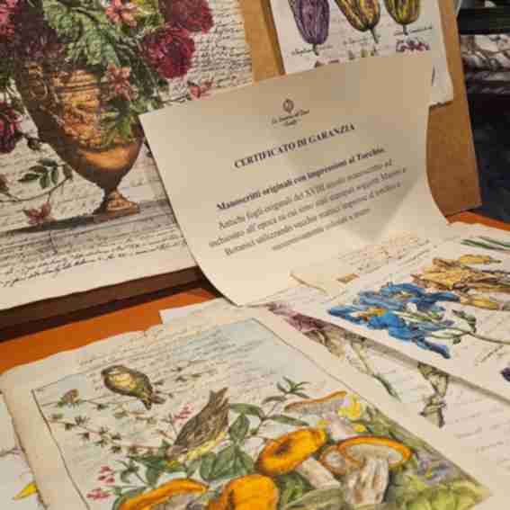 Carta Amalfi Reviews