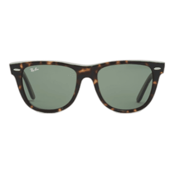Wayfarer Outsiders Oversized Sunglasses 