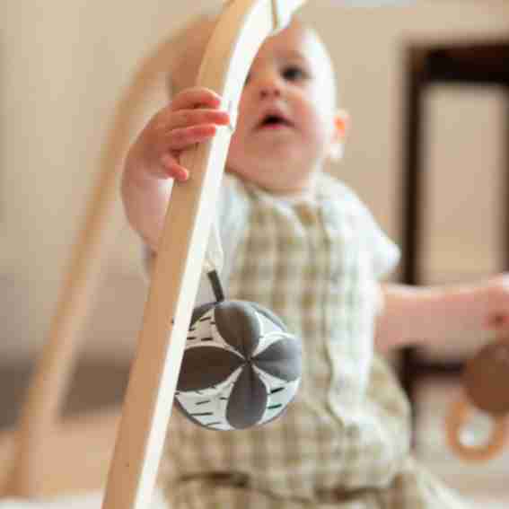 Loop Baby Reviews