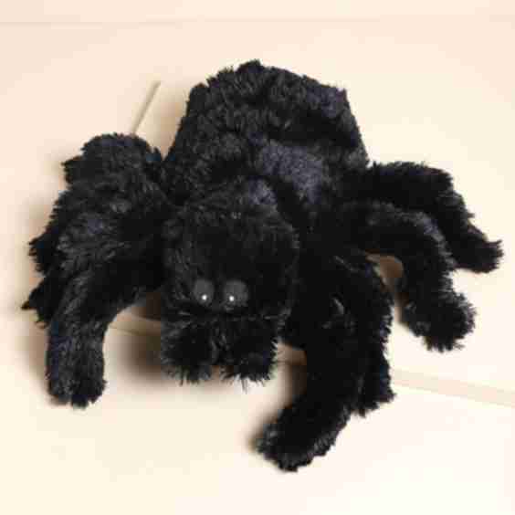 Spider Heatable Soft Toy