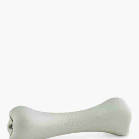 Dog Treat Bone