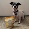 The Lazy Dog Cookie Co.