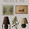 Village & Vine