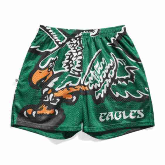 Philadelphia Eagles Big Logo Retro Shorts