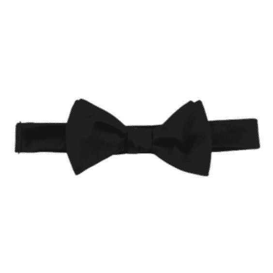 Formal Bow Tie 
