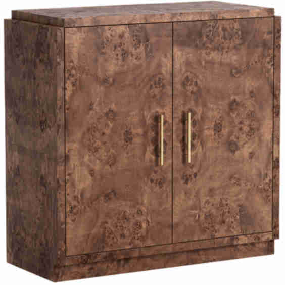 Jackson Burl 2-Door Cabinet
