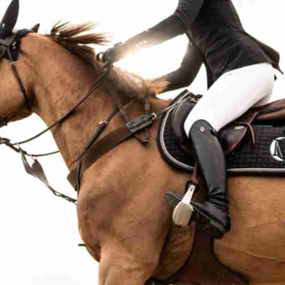 F.lli Fabbri Reviews