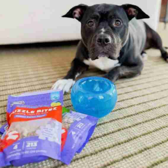 Outward Hound Reviews