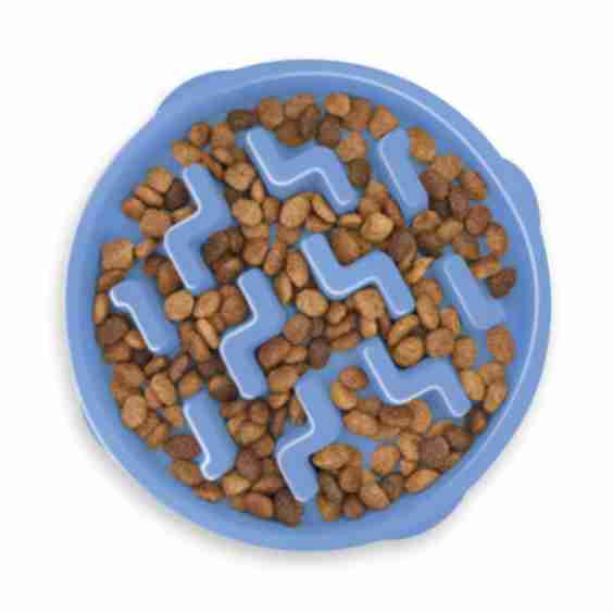 Fun Feeder Slow Feeder Dog Bowl