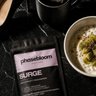 phasebloom