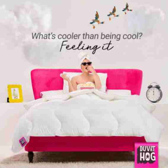 Duvet Hog Reviews