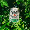 Mischief Brew